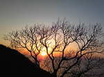 Image396.jpg